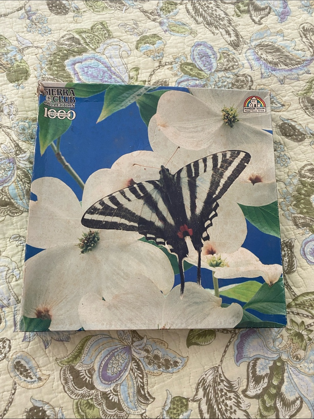 AND Butterfly Puzzle Box with Blue, White, Black, Green Accents